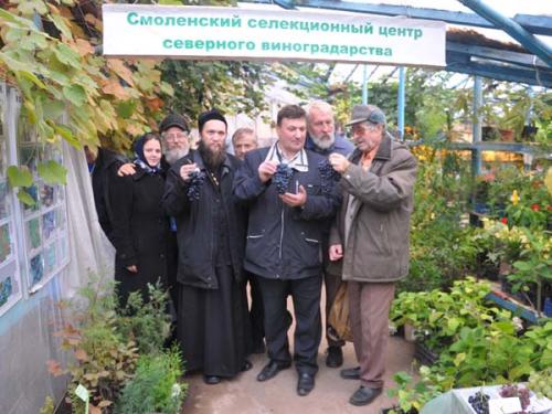 Виноград для северных регионов. ПЕРСПЕКТИВНЫЕ СОРТА ВИНОГРАДА ДЛЯ CЕВЕРНОГО ВИНОДЕЛИЯ И ПРИГОТОВЛЕНИЯ СОКОВ 01