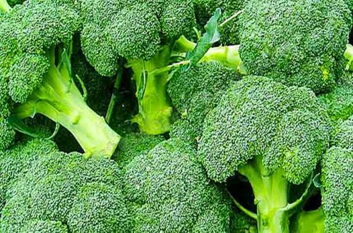 Чем отличается брокколи от цветной капусты по вкусу. Чем отличается брокколи от цветной капусты