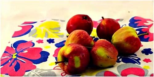 Как сушить яблоки в микроволновке. Как сушить яблоки в духовке, электросушилке,  микроволновке в домашних условиях