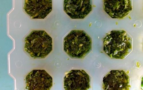 Можно ли замораживать чеснок на зиму. Как заморозить чеснок