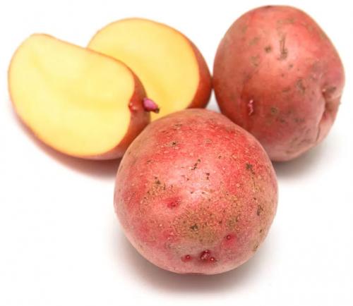 Сорт картофеля Розара – характеристика и описание, отзывы огородников