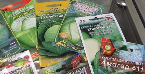 Культурные сорта капусты. Сорта капусты белокочанной с названием и описанием