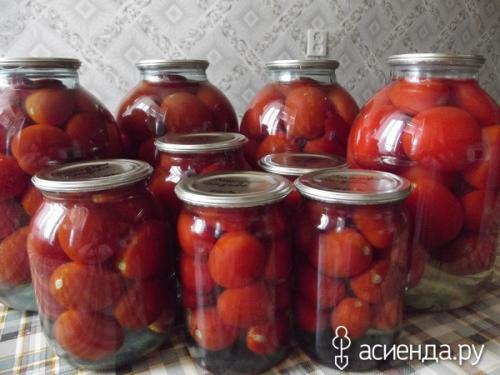 Томат “рио гранде”. Помидоры Рио Гранде. Урожайность.