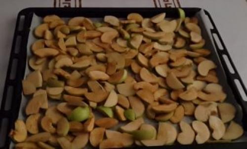 Как сушить яблоки на зиму в духовке газовой плиты. Как высушить яблоки в духовке