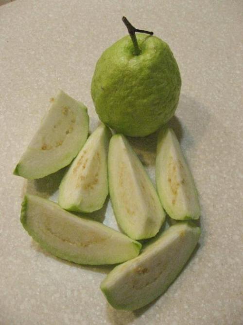 Гуава земляничная. Плоды земляничная гуава Цветет гуава земляничная исключительно весной. От цветения до созревания плодов проходит 5-6 месяцев. Плоды гуавы разделяются по цветам на два вида: Ярко-красные с явно выраженным вкусом клубники 01