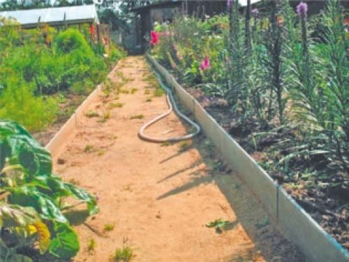 Потребности семьи на даче. Что и в каком количестве выращивать на даче в экономический кризис 06