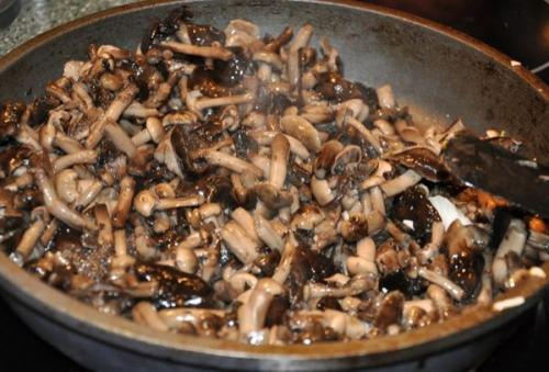 Нужно ли варить опята. Сколько варить 07