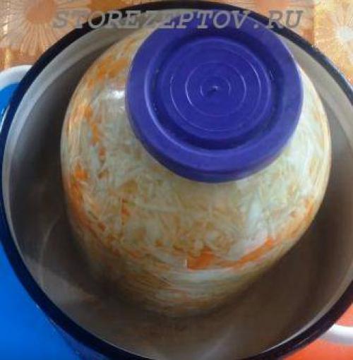 Когда квасят капусту на зиму в 2019 году. Классический рецепт квашенной капусты в рассоле