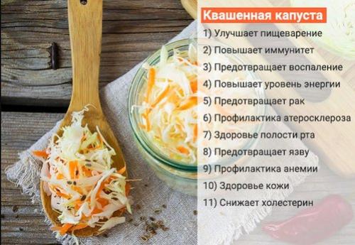 Когда квасят капусту на зиму в 2019 году. Классический рецепт квашенной капусты в рассоле 05 Когда квасят капусту на зиму в 2019 году. Классический рецепт квашенной капусты в рассоле 05