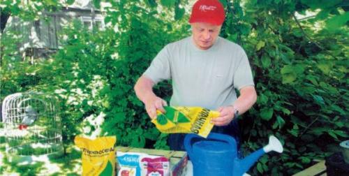 Парша на стволе яблони. Химические средства