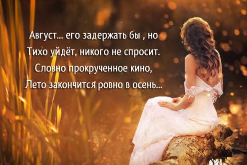 Как ухаживать за сельдереем корневым. Выращивание корневого сельдерея из рассады 04