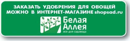 Боится ли чеснок заморозков. Не замерзнет ли чеснок? 04