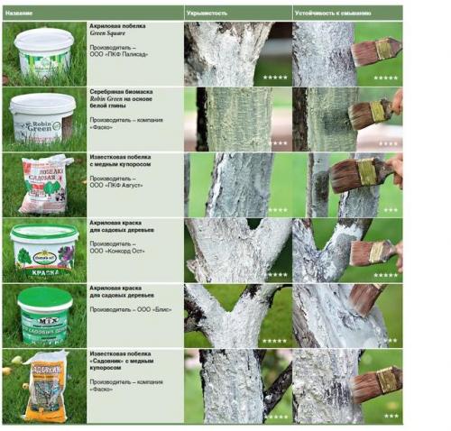 Как защитить ствол дерева. Защита стволов деревьев