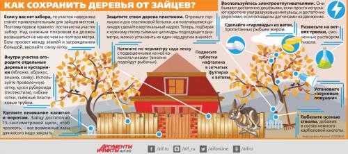 Средство от зайцев. Пушистая угроза. Как защитить участок от зайцев?