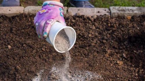 Как подготовить грядку для посадки клубники весной. Подготовка почвы