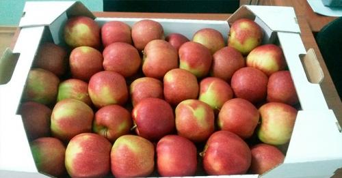 Как Хранить Яблоки зимой в домашних условиях. Как Хранить яблоки: создаем оптимальную температуру для хранения зимой + правильно выбираем тару