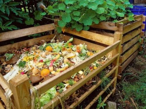 Перегной чем отличается от компоста. Чем отличается компост от перегноя, как заготавливать и что лучше? 02