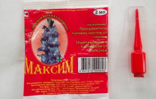 Средство для обработки почвы Максим. Описание состав и принцип работы фунгицида 05