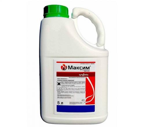 Средство для обработки почвы Максим. Описание состав и принцип работы фунгицида