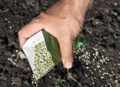 Чем обработать землю осенью от болезней и вредителей. Дача своими руками