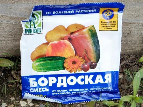 Болезни груши. Навигация по записям