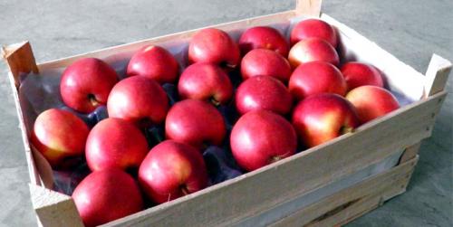 Как хранить яблоки из магазина. Как и где правильно хранить яблоки?
