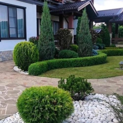 Когда пересаживать ель из леса. Посадка и уход за елью в открытом грунте 04