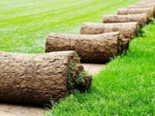 Можно ли осенью стелить рулонный газон. Когда лучше стелить рулонный газон осенью или весной 06