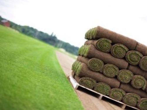 Можно ли осенью стелить рулонный газон. Когда лучше стелить рулонный газон осенью или весной 09