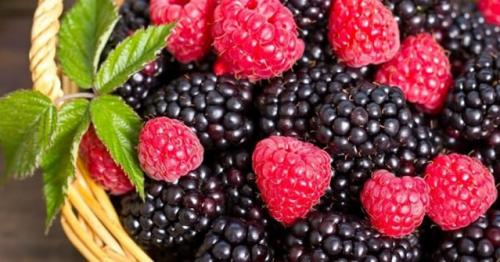 Можно сажать вместе разные сорта малины. Лучшие соседи малины. Можно ли сажать малину рядом с …