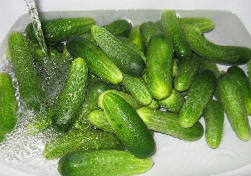 Как убрать горечь с огурцов при консервации. Что делать, как убрать горечь