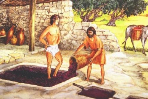 Вино без сахара, как сделать. Приготовление вина без сахара 01