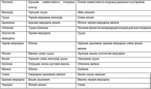 Можно сажать вместе разные сорта малины. Лучшие соседи малины. Можно ли сажать малину рядом с …