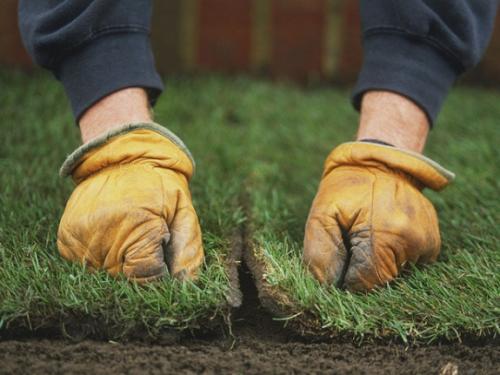 Что стелить под газон. Процесс расстилания газона