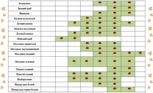 Сезон грибов 2019. Календарь появления грибов в 2019 году