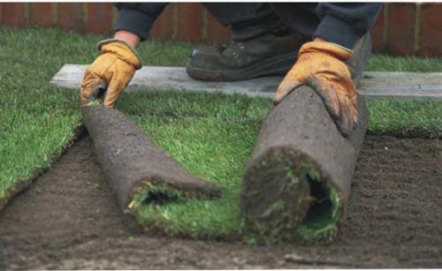 Что стелить под газон. Процесс расстилания газона