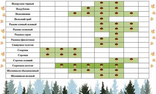 Сезон грибов 2019. Календарь появления грибов в 2019 году
