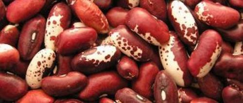 7 способов хранения чеснока. Как сохранить чеснок до весны: будто только с грядки