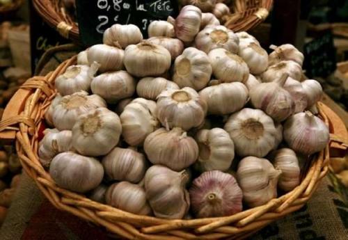7 способов хранения чеснока. Как сохранить чеснок до весны: будто только с грядки