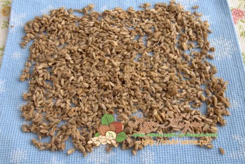 Как жарить семечки без кожуры. Как пожарить очищенные семечки подсолнуха самостоятельно — пошаговая фото инструкция