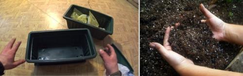 Как сажать тюльпаны дома. Волшебная клумба на подоконнике: Как посадить и вырастить тюльпаны в домашних условиях