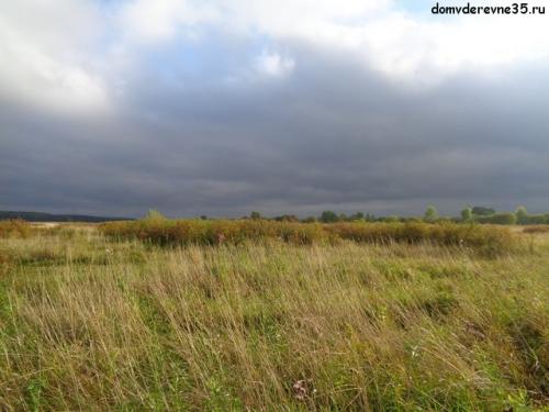 Когда поспевает шиповник в россии. Когда собирать шиповник