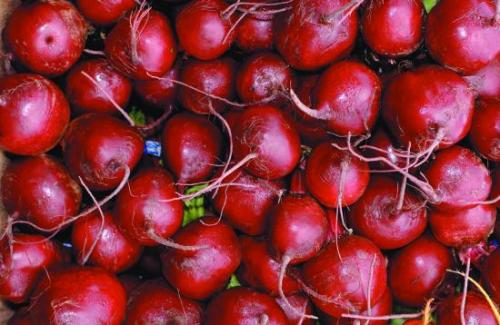 Почему свекла мелкая выросла. Почему свекла вырастает мелкой? Легко устраним эту проблему 05