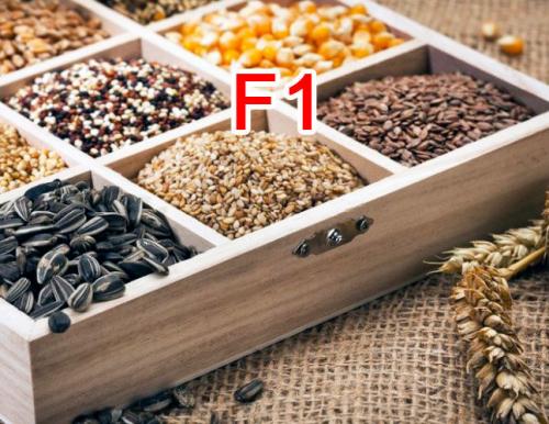Можно ли брать семена от f1. Что будет если собирать семена с гибридных сортов F1. Почему это лучше не делать?