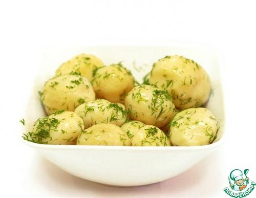 Почему картошка твердая. Семь правил Вкусной Картошки