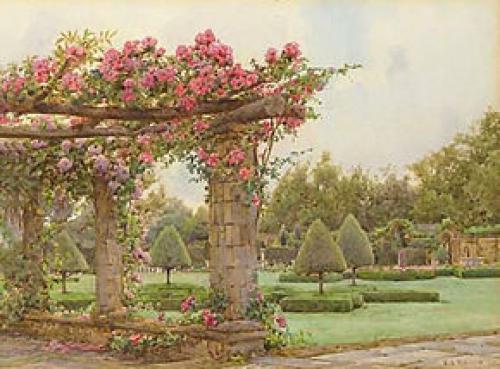 Из, какой страны роза. какая страна считается страной роз? 20