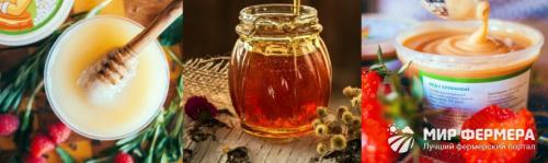 Где хранить мед, чтобы он не засахарился. Как хранить мед