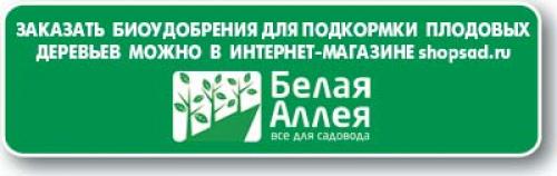 Барбарис годжи Тибетский. Годжи или Тибетский барбарис 01