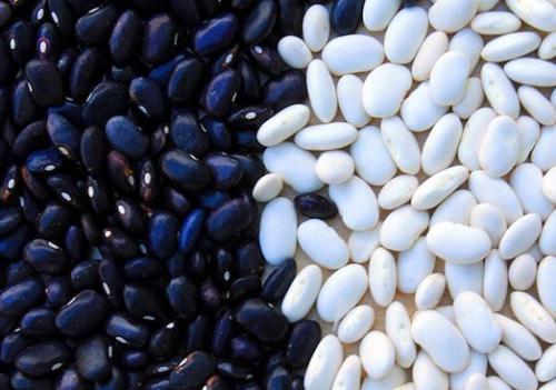 Как сушить зеленую фасоль. Как правильно сушить фасоль?