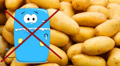 Можно ли мыть картофель перед закладкой на хранение в погреб. Мыть ли картофель перед хранением: все «за» и «против» 06